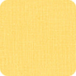 Coton lemon - 1